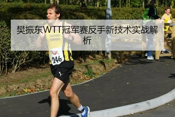 樊振东WTT冠军赛反手新技术实战解析