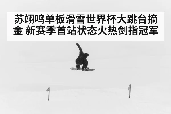 苏翊鸣单板滑雪世界杯大跳台摘金 新赛季首站状态火热剑指冠军