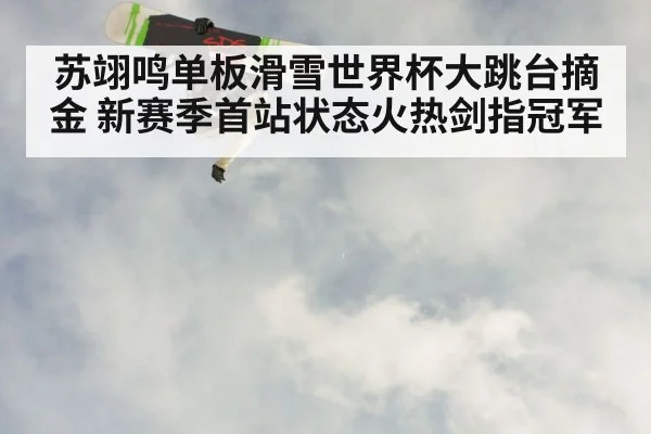snowboarder aerial trick